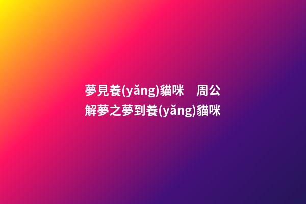 夢見養(yǎng)貓咪　周公解夢之夢到養(yǎng)貓咪